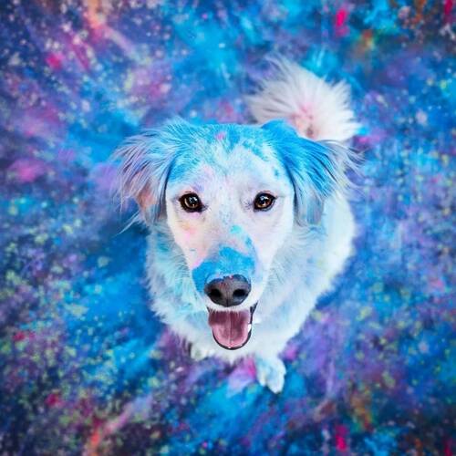 Azul