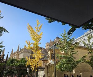 Mª Ángeles