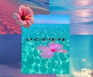 Ocean