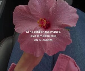 Yoli