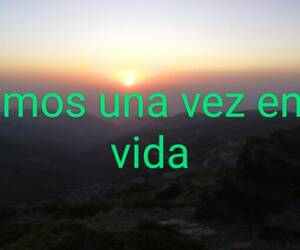 Flor