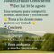 Jornadas de Voluntariado Consciente ✨🌿