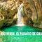 Ruta río verde
